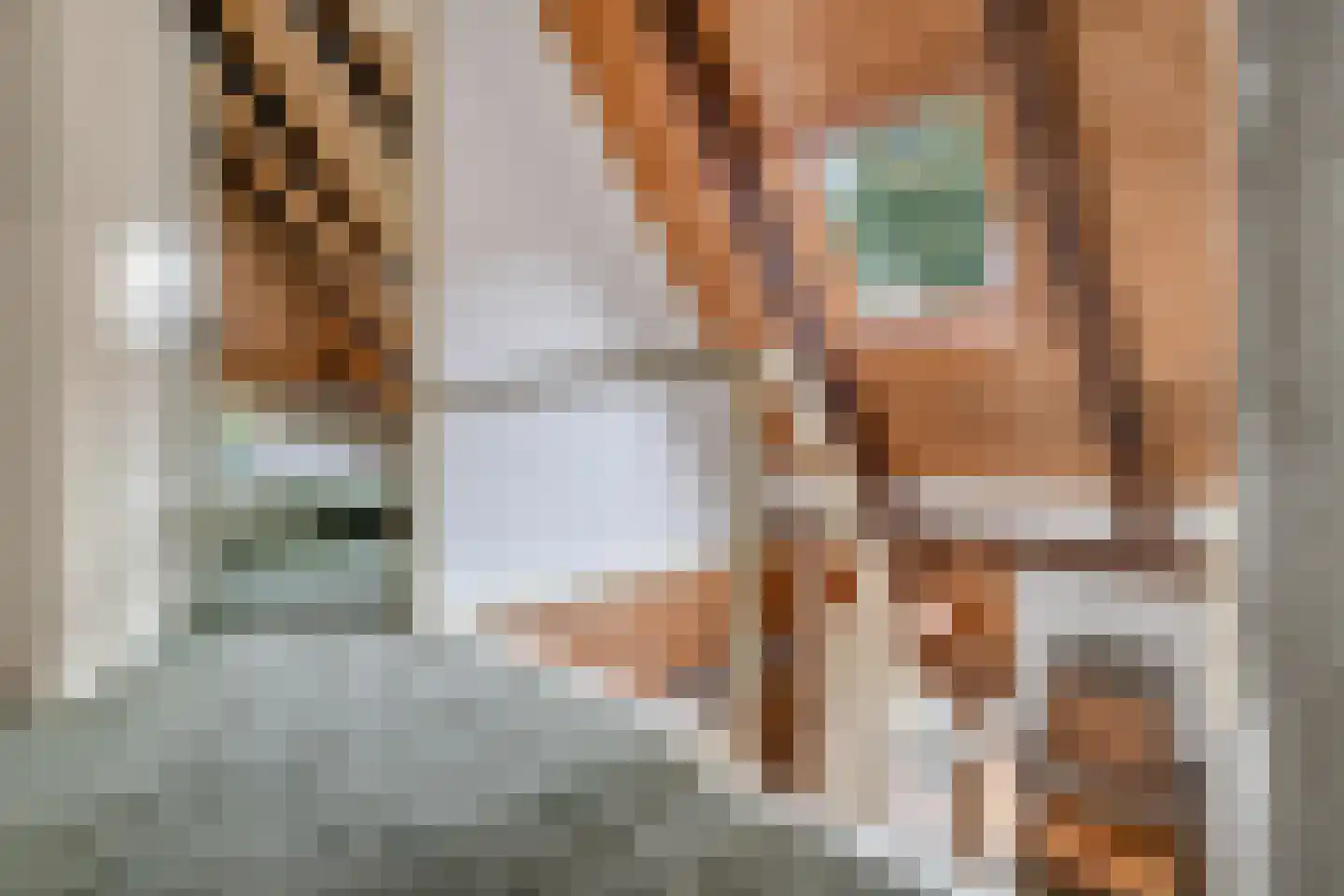Bekenhorst 6 Borne thumbnail 29