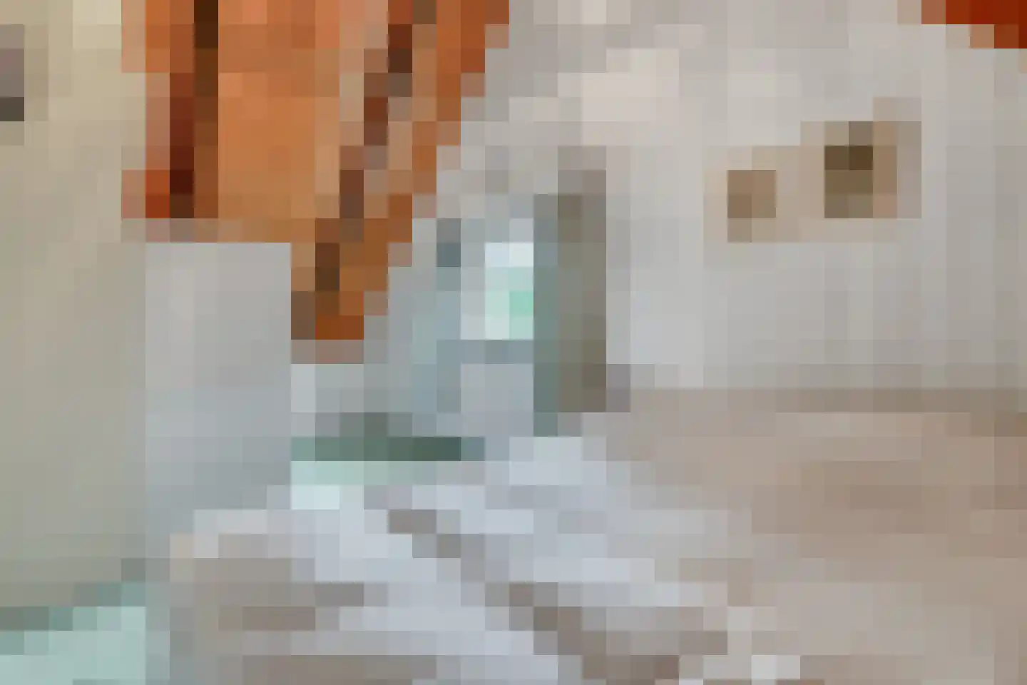 Bekenhorst 6 Borne thumbnail 31