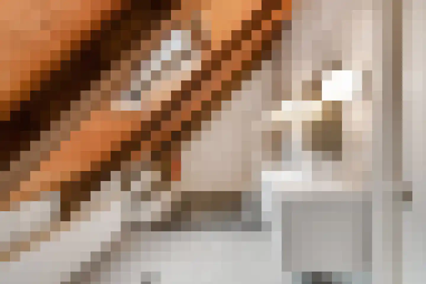 Bekenhorst 6 Borne thumbnail 32