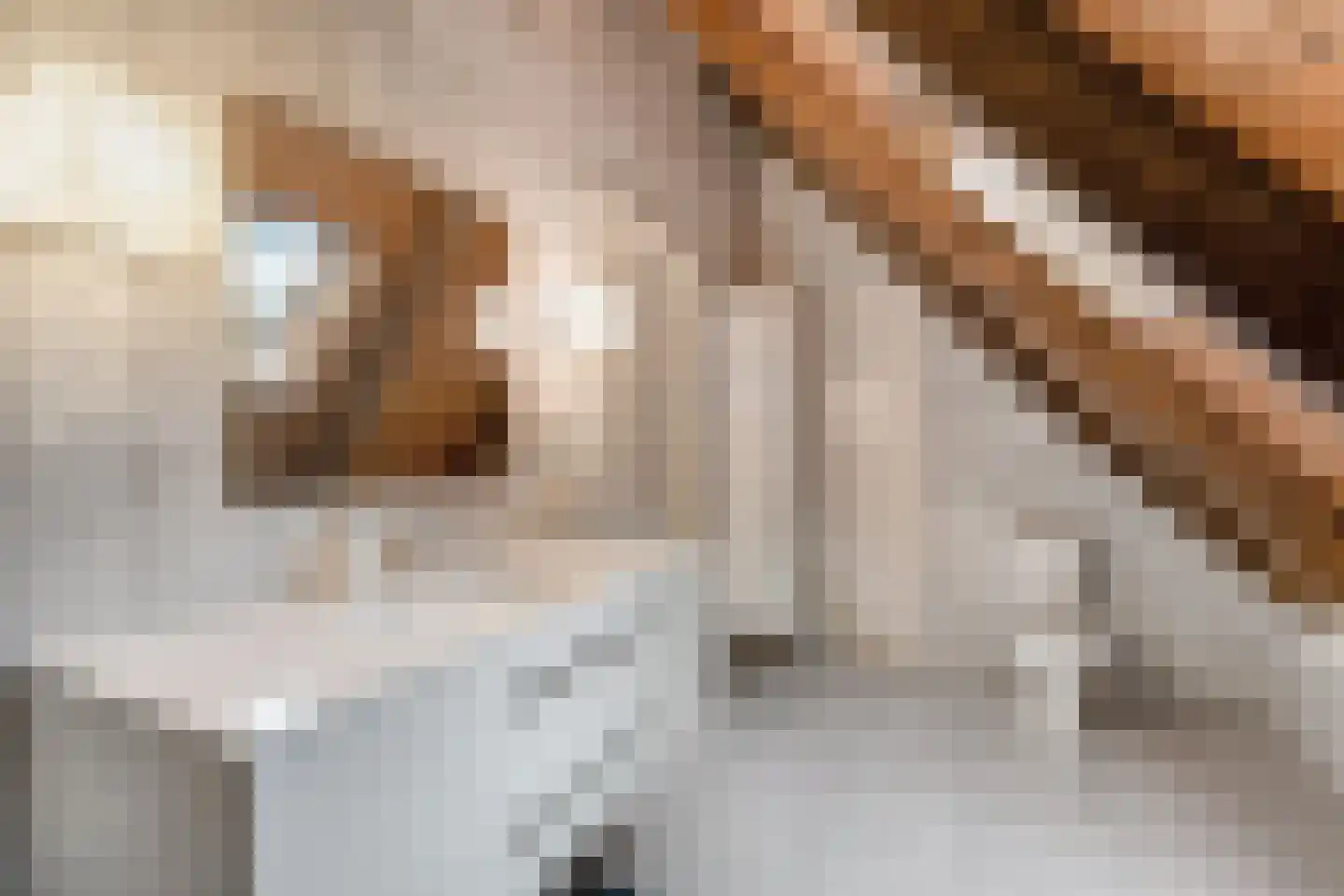 Bekenhorst 6 Borne thumbnail 33