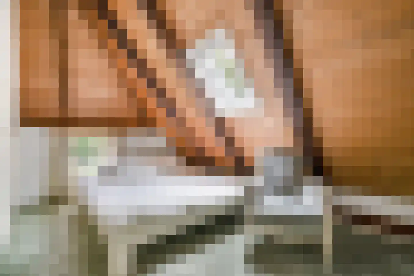 Bekenhorst 6 Borne thumbnail 39