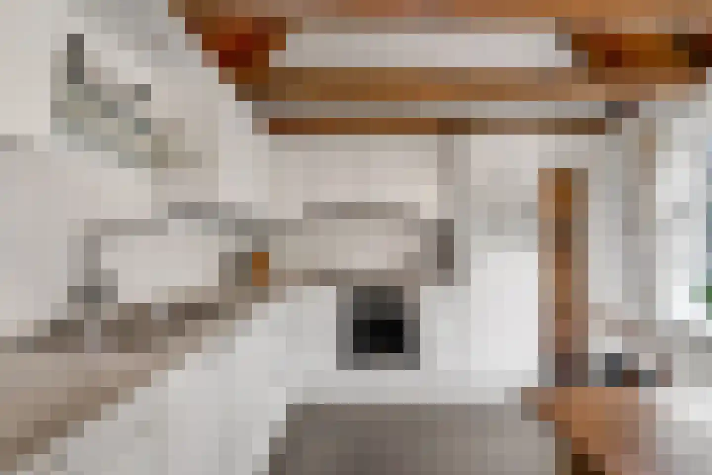 Bekenhorst 6 Borne thumbnail 4