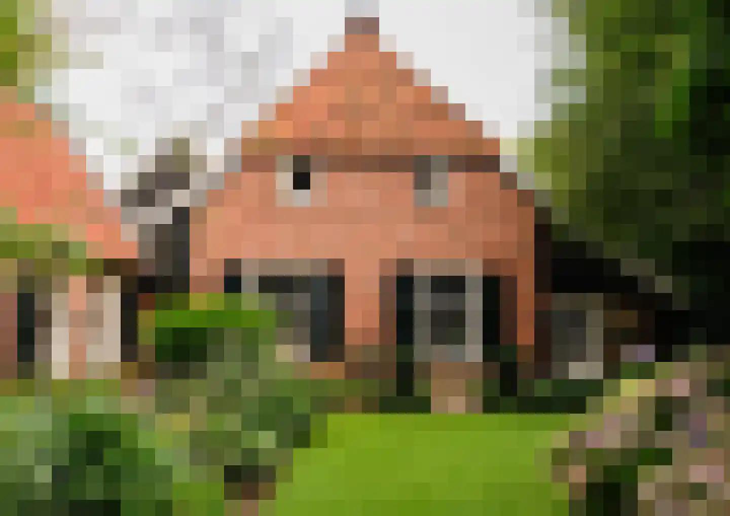 Bekenhorst 6 Borne thumbnail 42