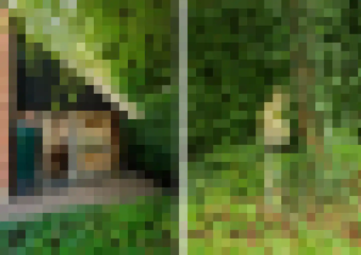 Bekenhorst 6 Borne thumbnail 51