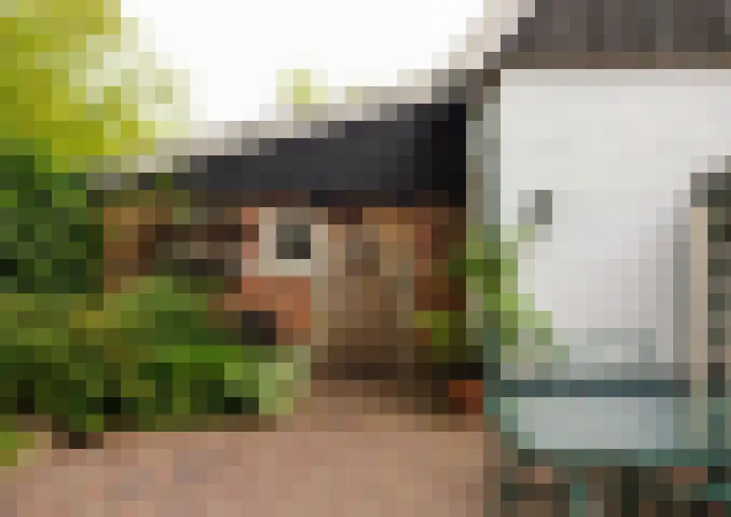 Bekenhorst 6 Borne thumbnail 53