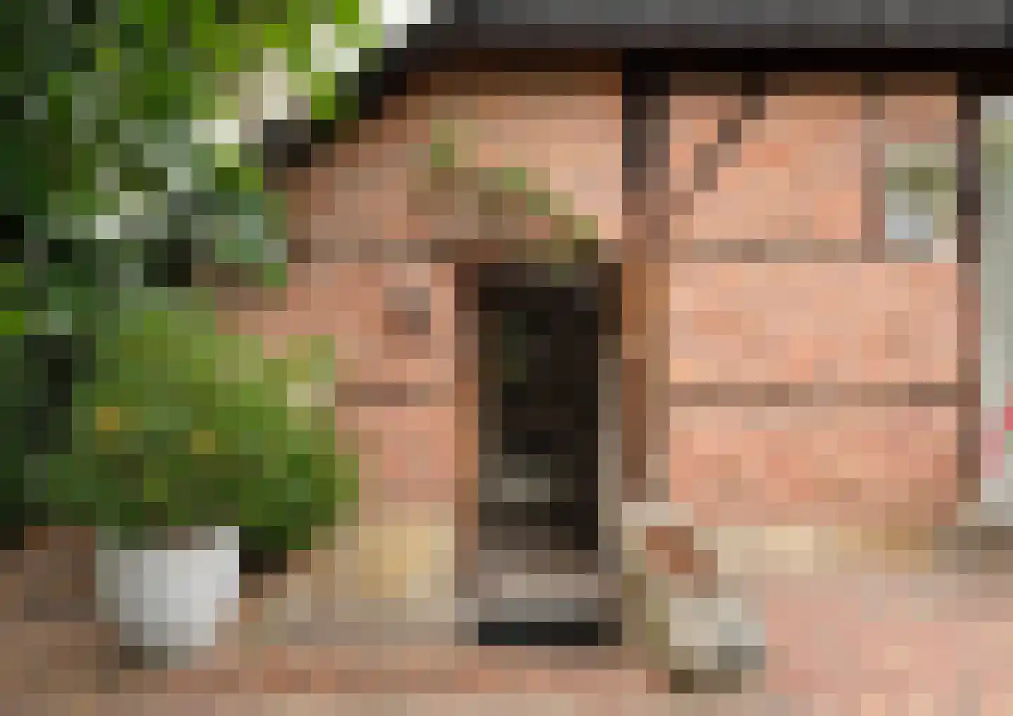 Bekenhorst 6 Borne thumbnail 59