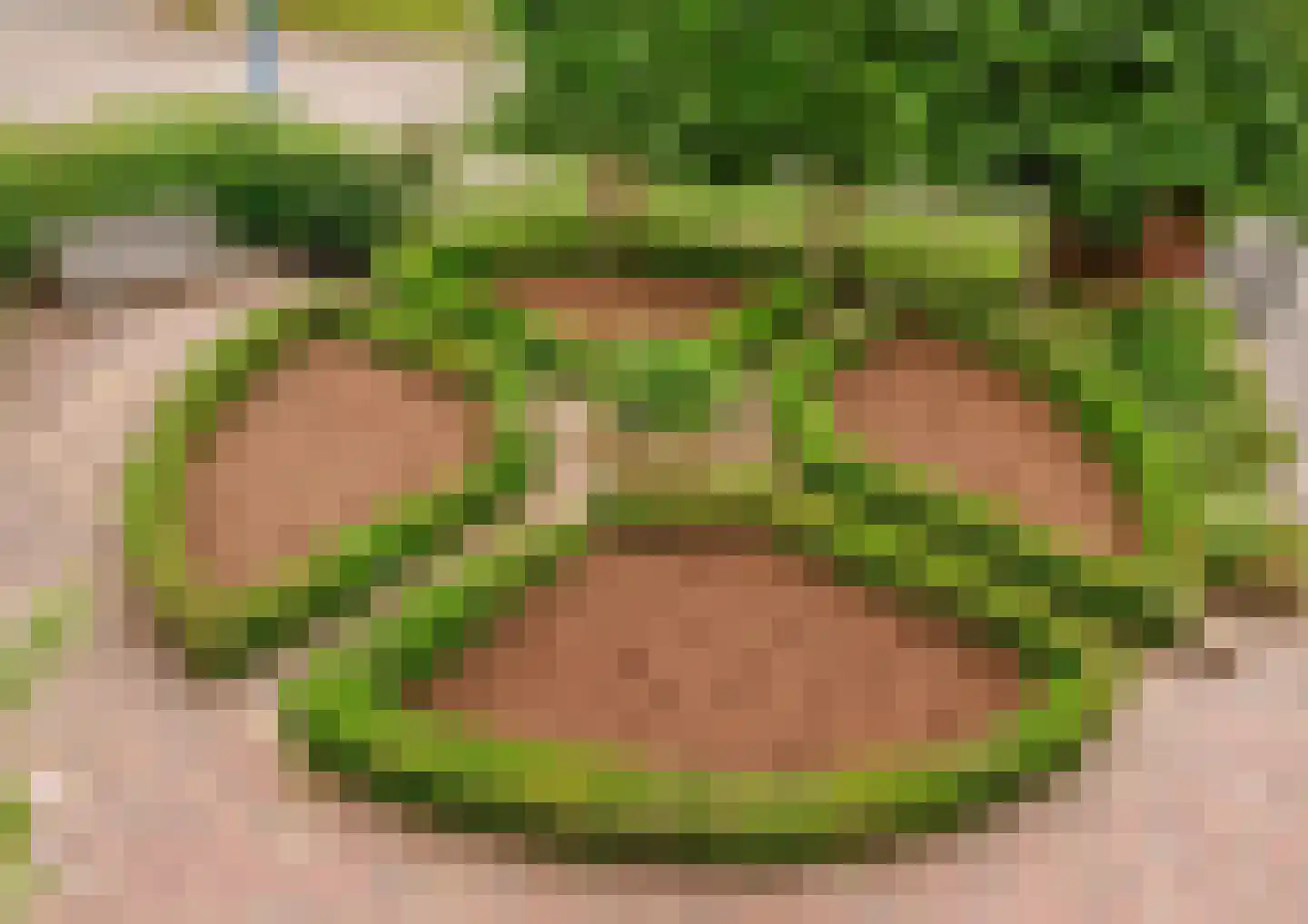 Bekenhorst 6 Borne thumbnail 61