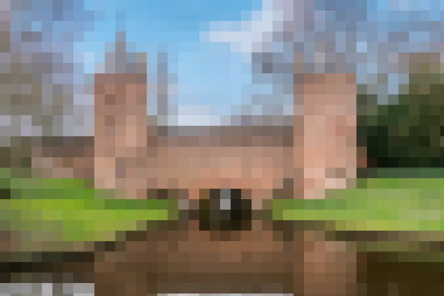 Bekensteinselaan 20 Amersfoort thumbnail 15