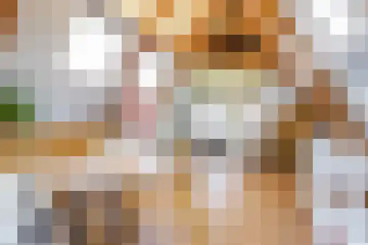 Bekensteinselaan 23 Amersfoort thumbnail 24