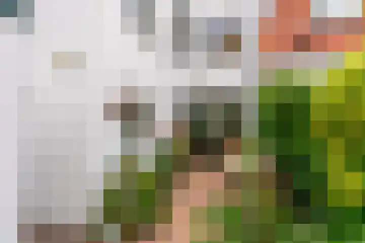 Bekensteinselaan 23 Amersfoort thumbnail 31