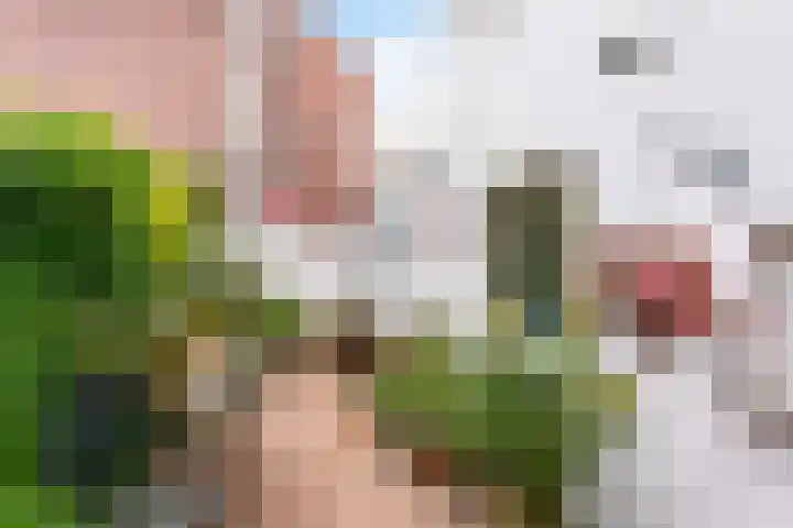 Bekensteinselaan 23 Amersfoort thumbnail 32