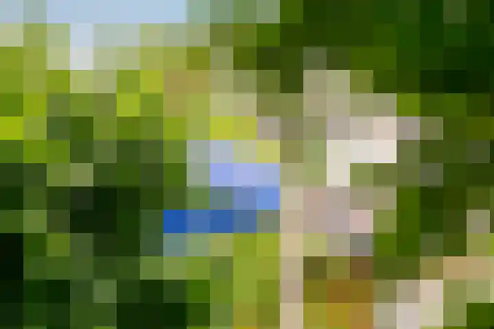 Bekensteinselaan 23 Amersfoort thumbnail 34