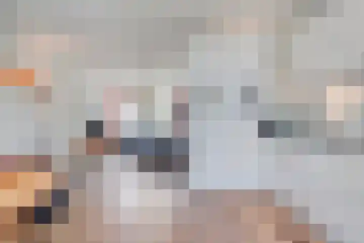 Bekensteinselaan 40 Amersfoort thumbnail 13
