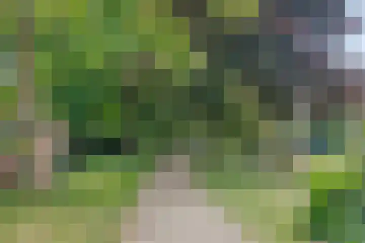 Bekensteinselaan 40 Amersfoort thumbnail 35