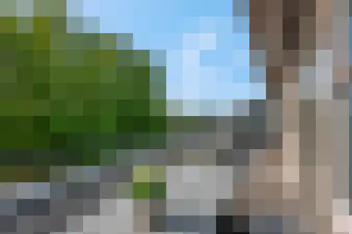Bekensteinselaan 63 Amersfoort thumbnail 14