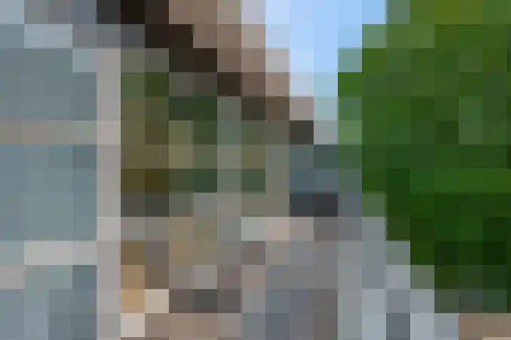 Bekensteinselaan 63 Amersfoort thumbnail 15