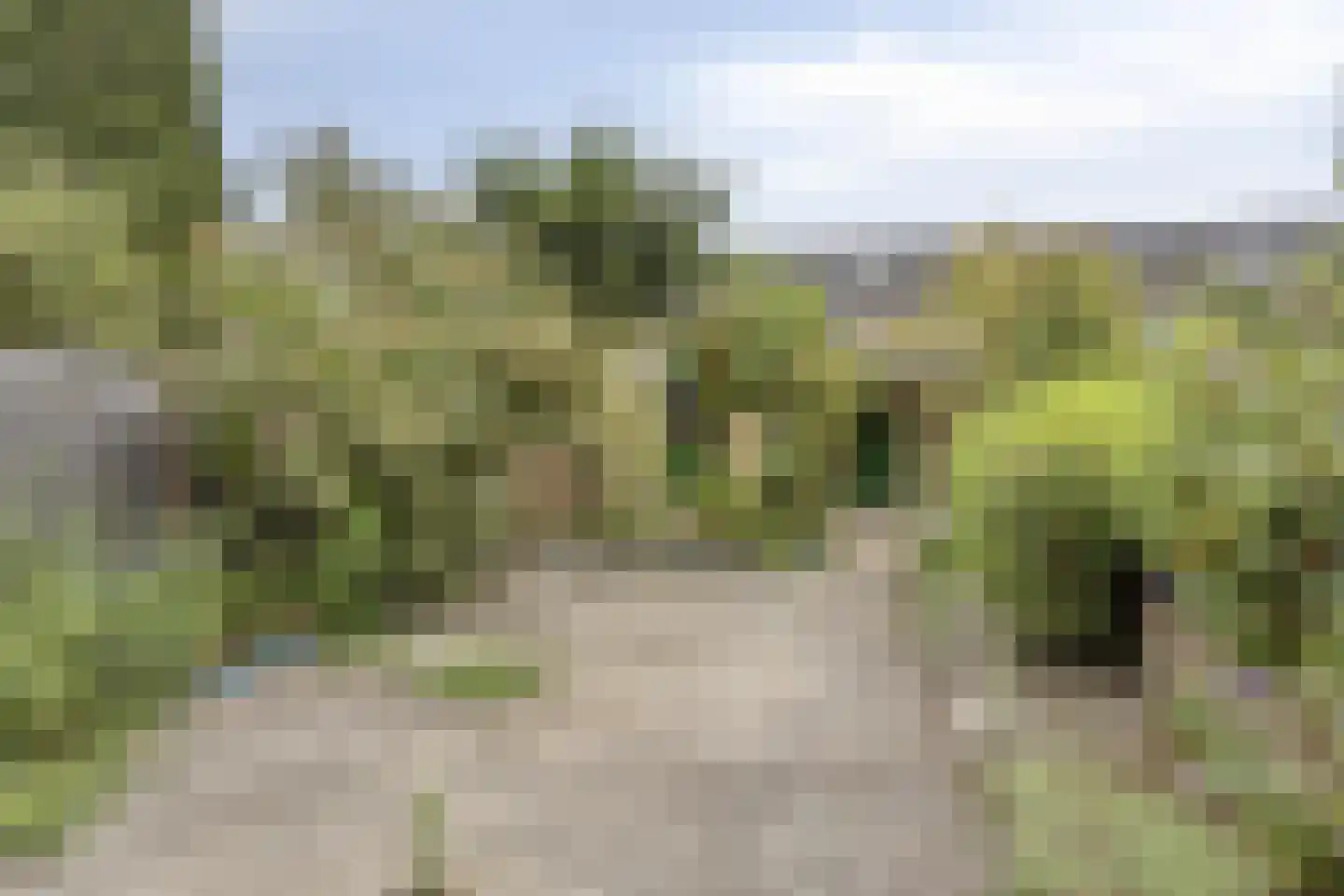 Bekerakker 42 Eindhoven thumbnail 19