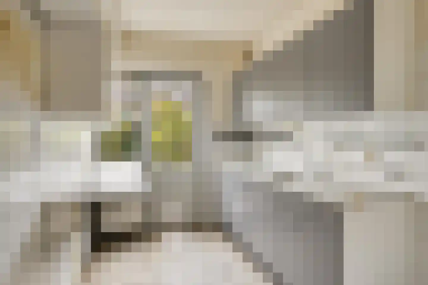 Bekerakker 42 Eindhoven thumbnail 5
