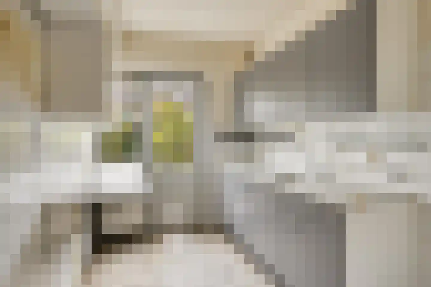 Bekerakker 42 Eindhoven thumbnail 5