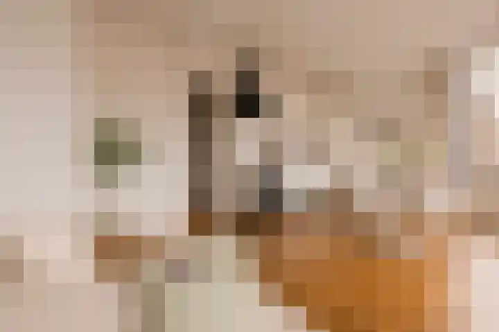 Bekerbaan 11 Schimmert thumbnail 10