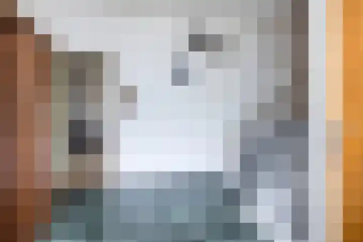 Bekerbaan 11 Schimmert thumbnail 14