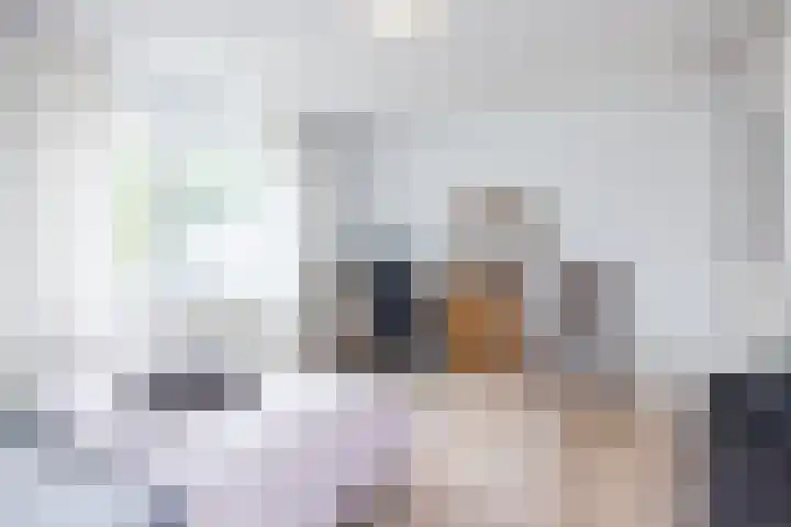 Bekerbaan 11 Schimmert thumbnail 19