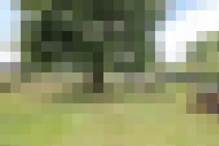 Bekerbaan 11 Schimmert thumbnail 27