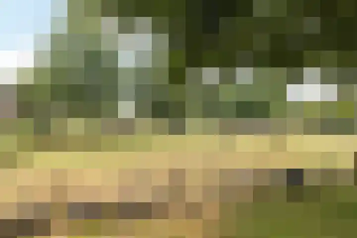 Bekerbaan 11 Schimmert thumbnail 33