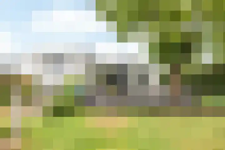 Bekerbaan 11 Schimmert thumbnail 34