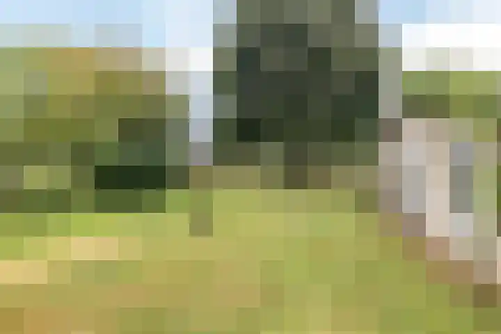 Bekerbaan 11 Schimmert thumbnail 35
