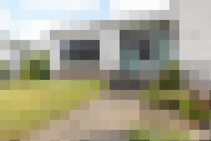 Bekerbaan 11 Schimmert thumbnail 38