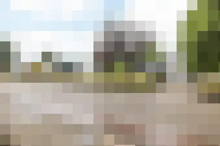 Bekerbaan 11 Schimmert thumbnail 39