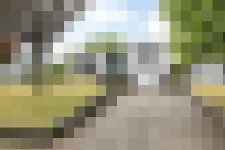 Bekerbaan 11 Schimmert thumbnail 42