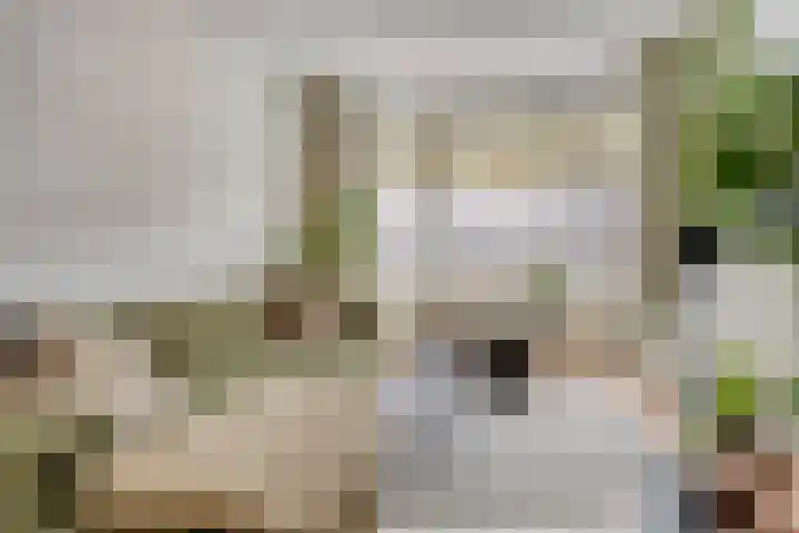 Bekerbaan 11 Schimmert thumbnail 45