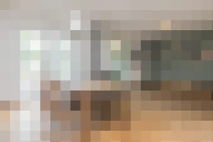 Bekerbaan 11 Schimmert thumbnail 7