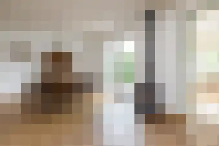 Bekerbaan 11 Schimmert thumbnail 8