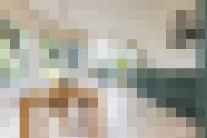 Bekerbaan 11 Schimmert thumbnail 9