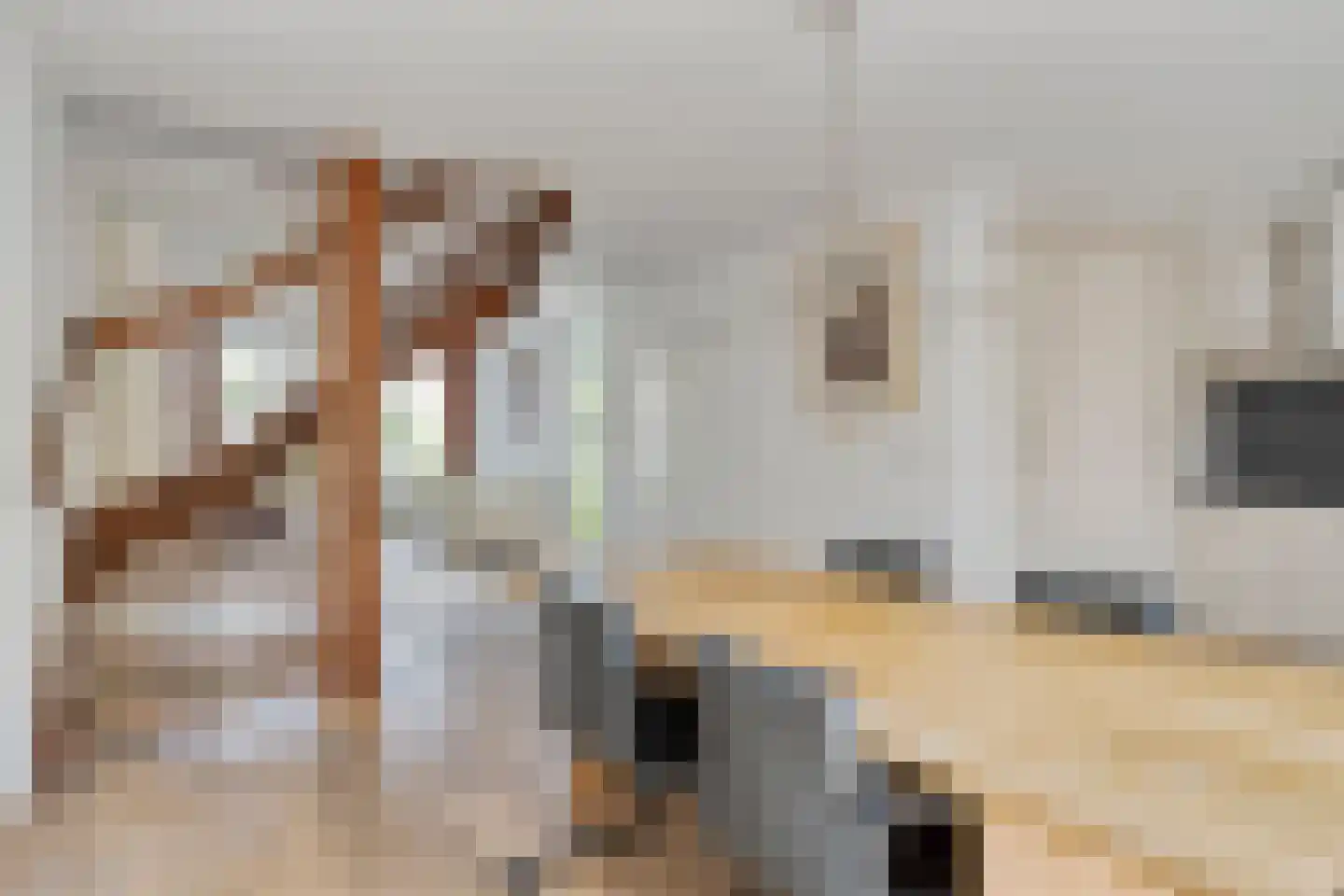 Bekerbaan 13 a Schimmert thumbnail 15