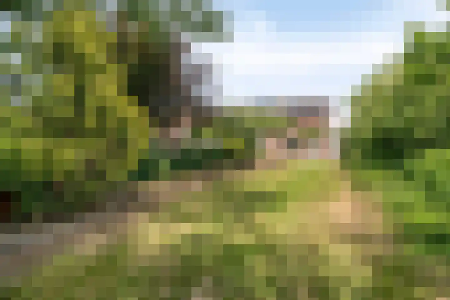 Bekerbaan 13 a Schimmert thumbnail 35