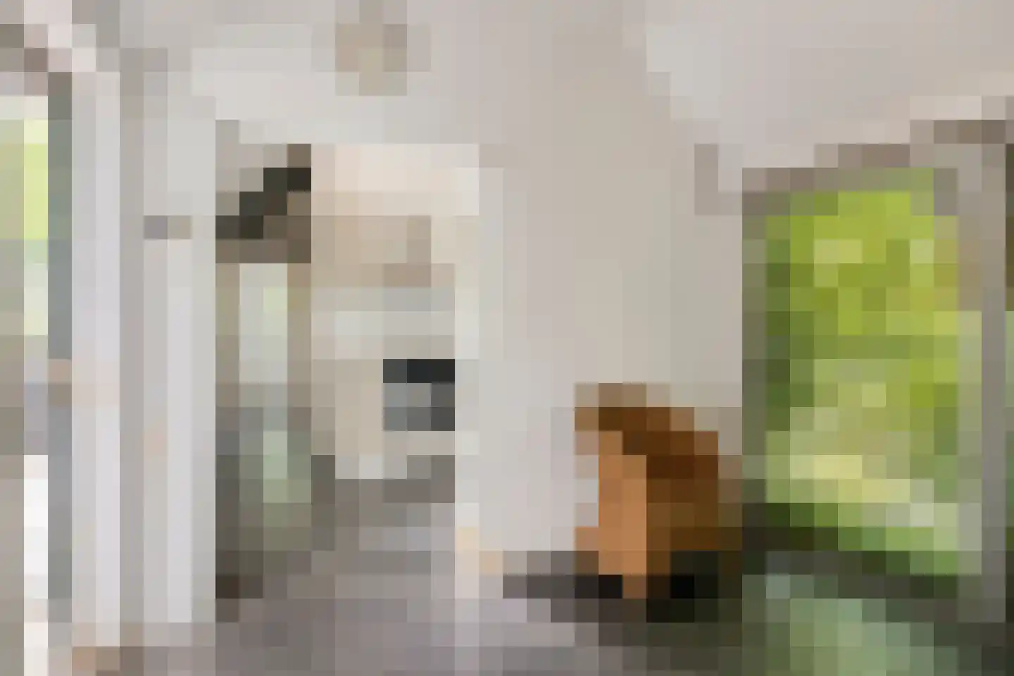 Bekerbaan 13 a Schimmert thumbnail 38
