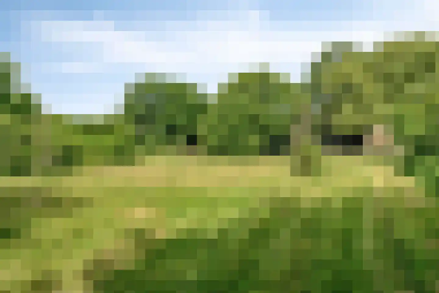 Bekerbaan 13 a Schimmert thumbnail 4
