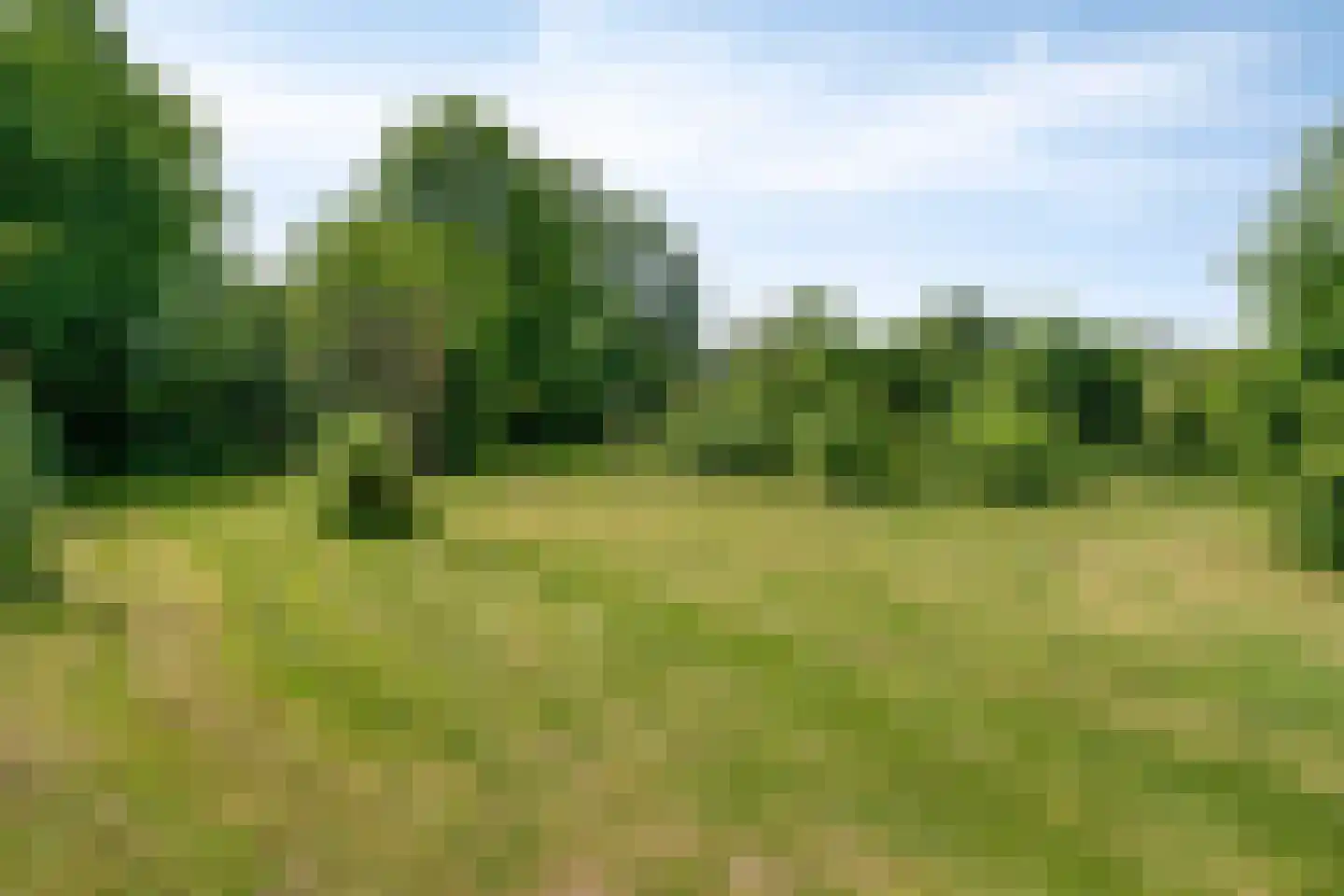 Bekerbaan 13 a Schimmert thumbnail 45