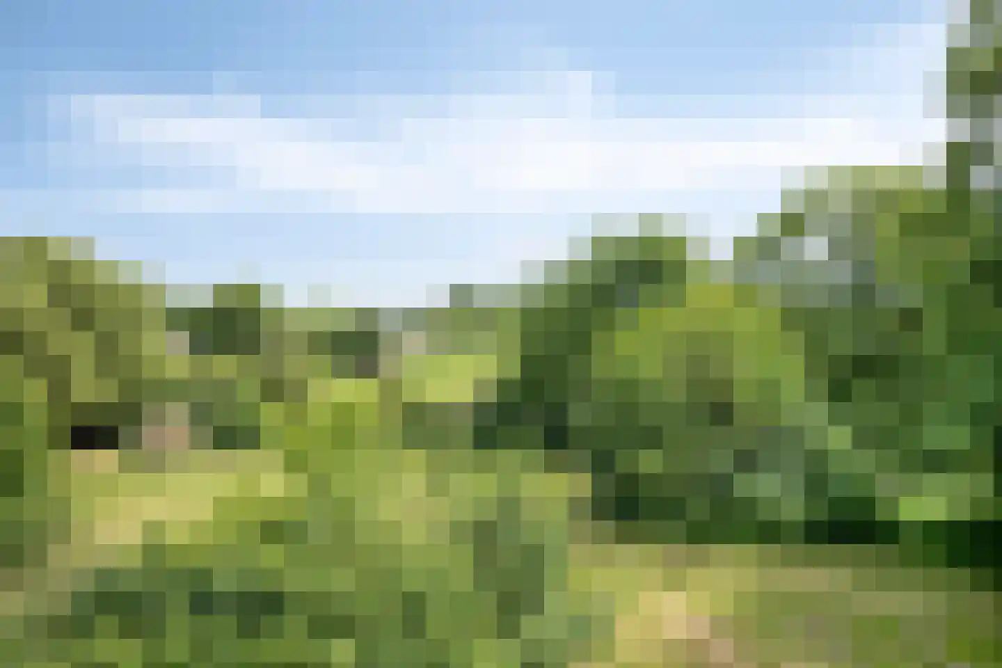Bekerbaan 13 a Schimmert thumbnail 46