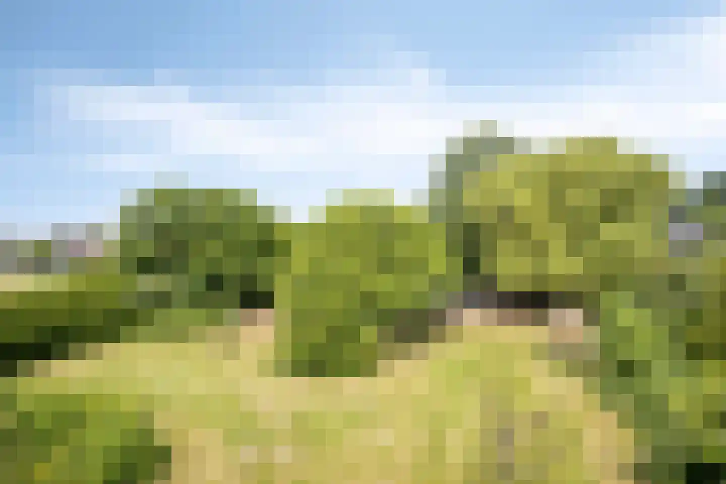 Bekerbaan 13 a Schimmert thumbnail 47