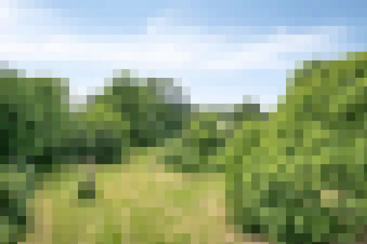 Bekerbaan 13 a Schimmert thumbnail 48