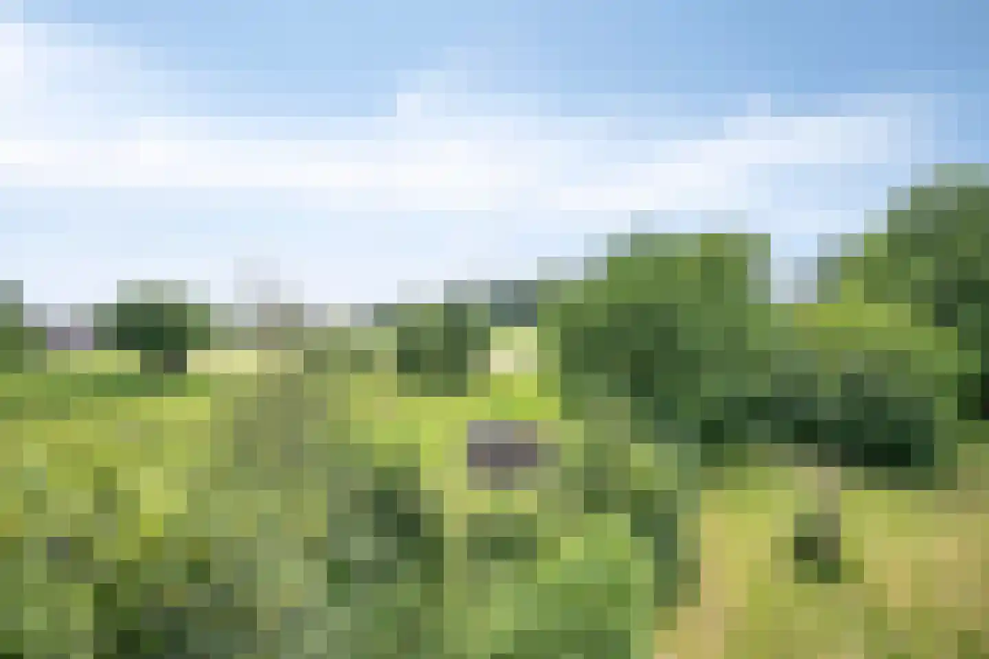 Bekerbaan 13 a Schimmert thumbnail 49