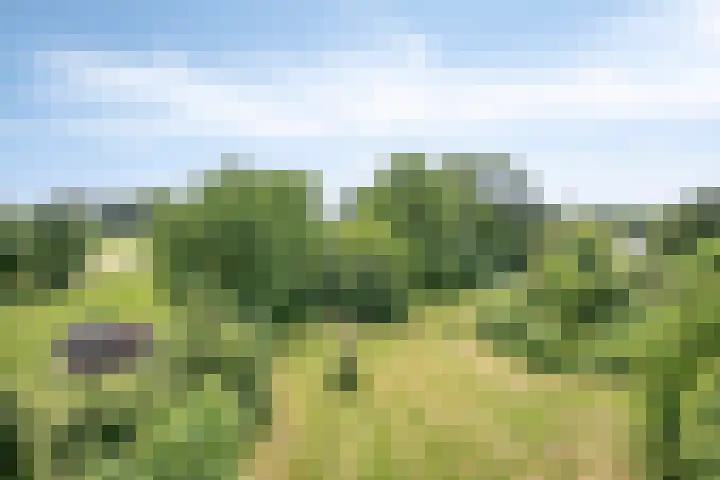 Bekerbaan 13 a Schimmert thumbnail 50