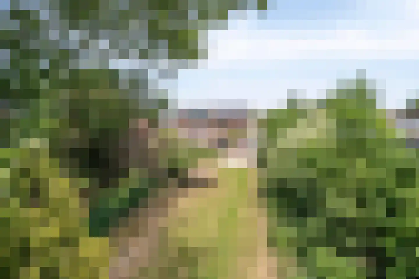 Bekerbaan 13 a Schimmert thumbnail 51