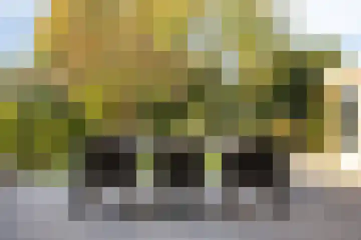 Bekerbaan 13 b Schimmert thumbnail 25