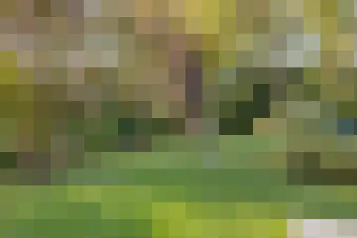 Bekerbaan 13 b Schimmert thumbnail 26